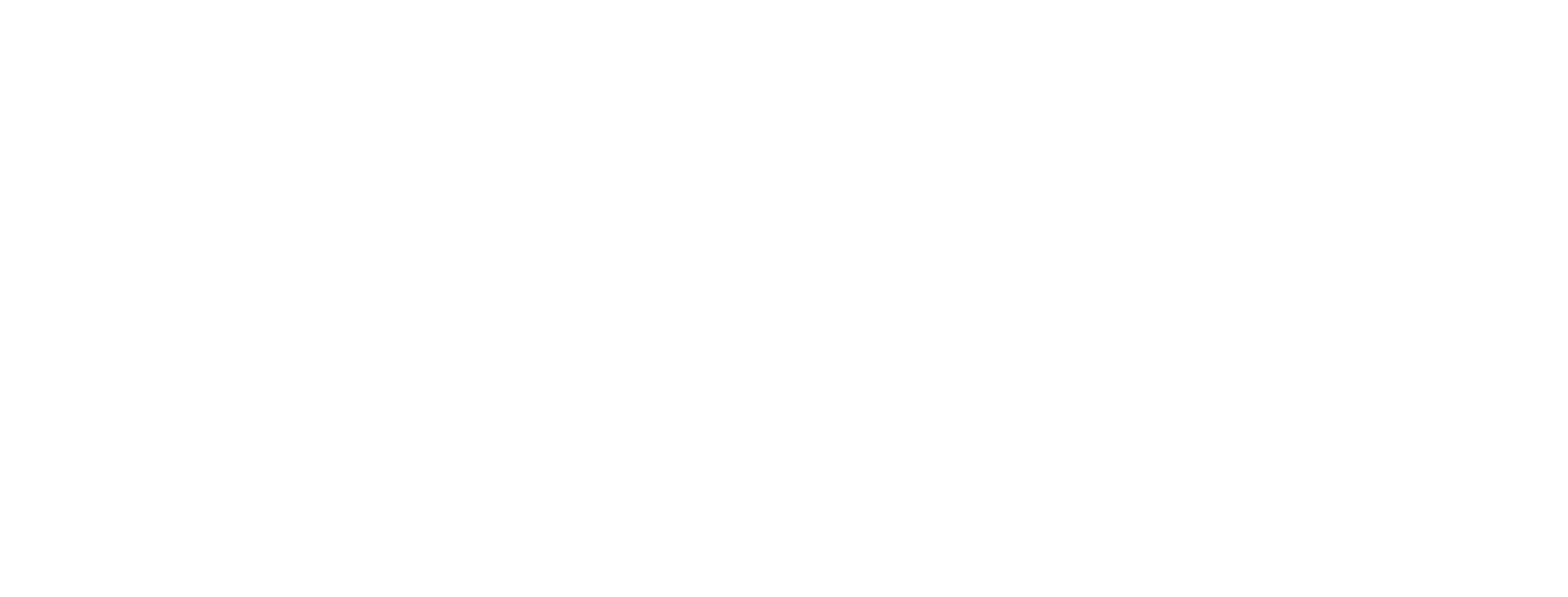EuDam Technical Solutions